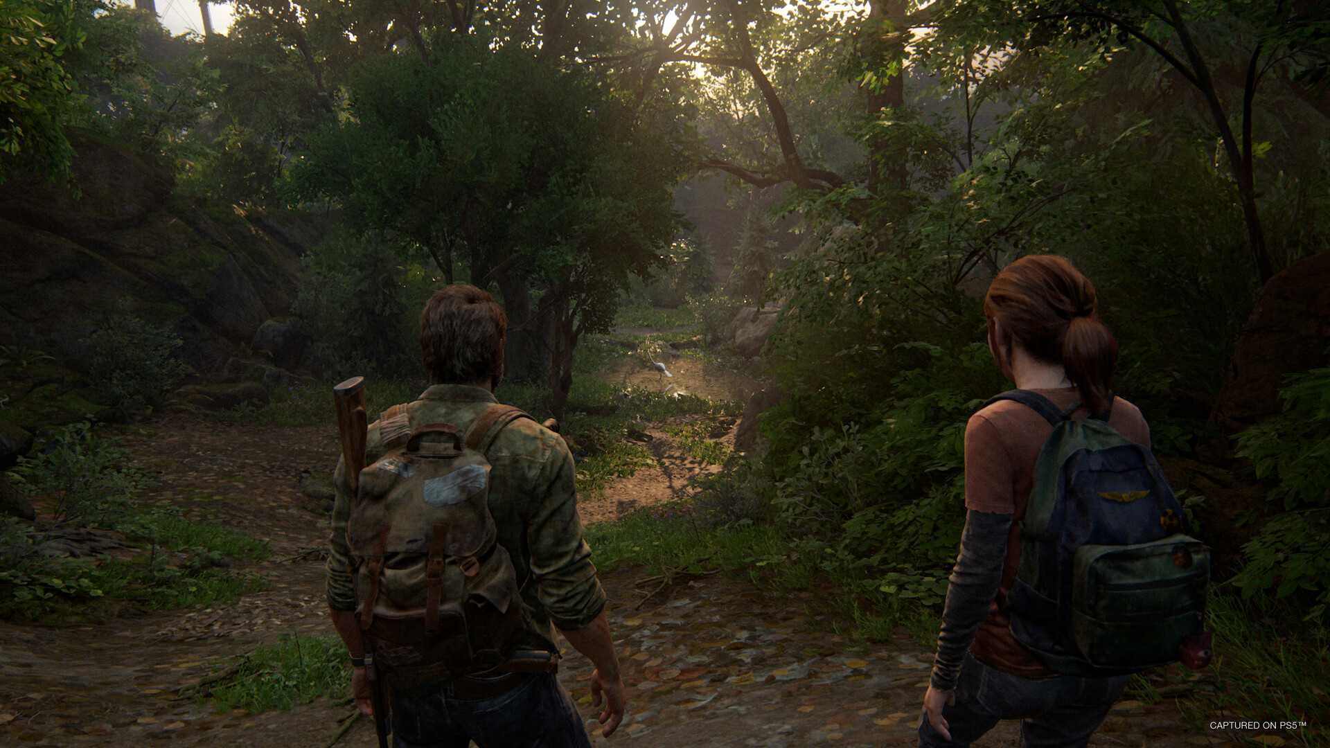 The Last of Us Steam PC